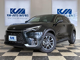 LEXUS LBX
