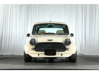 ROVER MINI