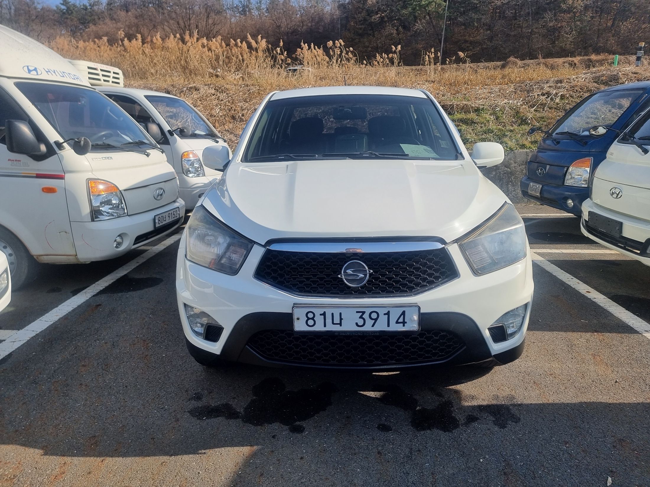 SSANGYONG Korando Sports 2012