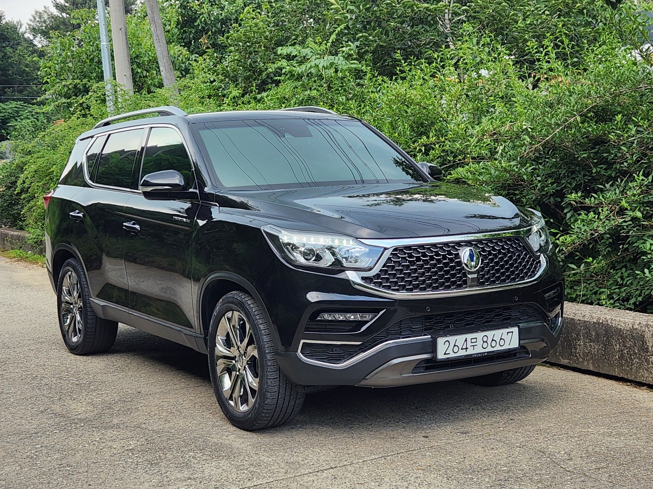 Rexton 2019. SSANGYONG Rexton g4. SSANGYONG Rexton 2019. Рекстон g4 2020. Rexton g4 китайский аналог.