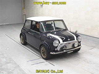 ROVER MINI