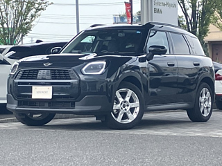 MINI OTHER