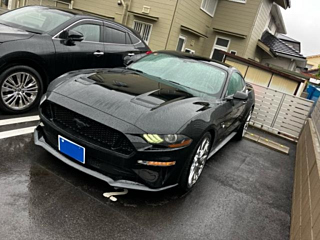 FORD MUSTANG