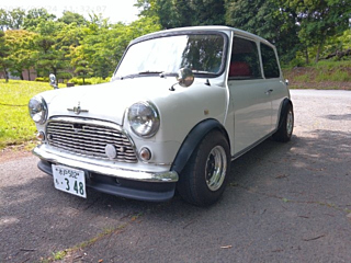 ROVER MINI