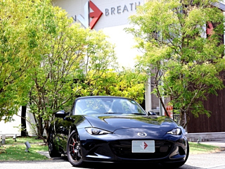 MAZDA ROADSTER